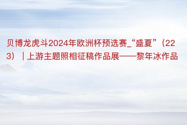 贝博龙虎斗2024年欧洲杯预选赛_“盛夏”（223） | 上游主题照相征稿作品展——黎年冰作品