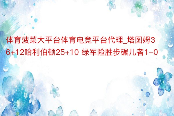 体育菠菜大平台体育电竞平台代理_塔图姆36+12哈利伯顿25+10 绿军险胜步碾儿者1-0