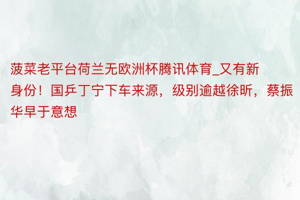 菠菜老平台荷兰无欧洲杯腾讯体育_又有新身份！国乒丁宁下车来源，级别逾越徐昕，蔡振华早于意想