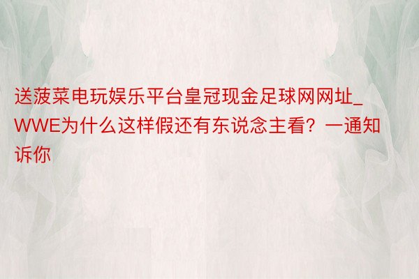 送菠菜电玩娱乐平台皇冠现金足球网网址_WWE为什么这样假还有东说念主看？一通知诉你